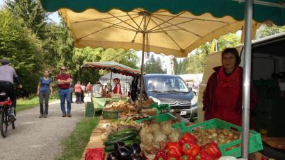 Archivbild: njn
Die Öko-Modellregion Steinwald setzt sich für nachhaltige Themen in der Region ein. Aus diesem Grund ist die Steinwald-Allianz auch beim vierten "World Organic Forum" dabei.