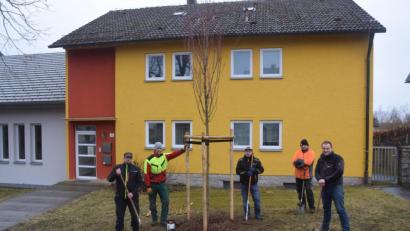 Bild: fz
Bürgermeister Anton Kappl (rechts) und sein Team pflanzen einen von drei Klimabäumen.