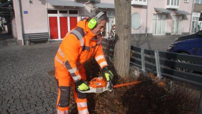 Bild: wro
Andreas Uhligs Steckenpferd sind die blühenden Farbtupfer in der Marktgemeinde Wiesau. Dafür ist es aber noch zu früh, sagt Uhlig. Daher widmet sich der Wahl-Wiesauer derzeit „nur“ den Hecken.