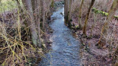 Bild: br
Für das Einleiten von Mischwasser aus den Entlastungsanlagen und dem Regenwasser aus den Regenwasserkanälen in das Fließgewässer, die „Creußen“ (unser Bild in Menzlas) sowie in den Lehm- und Pointgraben wird eine Neuerteilung der gehobenen wasserrechtlichen Erlaubnis ab 2022 beim Wasserwirtschaftsamt Weiden beantragt.