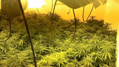 Symbolbild:  pichture alliance/dpa/Guardia Civil
Für die Einfuhr von Marihuana muss der Angeklagte nun lange ins Gefängnis.