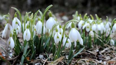Bild: AMB
Vor dem Frühling kommt noch mal Nachtfrost, meint Wetterexperte Andy Neumaier.