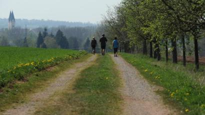 Bild: Armin Weigel
Die Oberpfalz ist mehr als Regensburg
