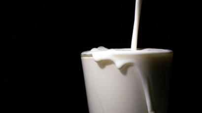 Bild: Sebastian Gollnow/dpa
Problemthema Milch: Bei der virtuellen Mitgliederversammlung der Bezirksverbände Niederbayern und Oberpfalz des Bayerischen Bauernverbandes wurde intensiv darüber gesprochen.