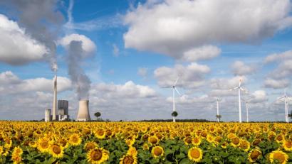 Symbolbild: Julian Stratenschulte/dpa
Gemeinsame Stombeschaffung ja, aber welchen? Eschenbachs Stadträte entscheiden sich für "Ökostrom ohne Neuanlagenquote".