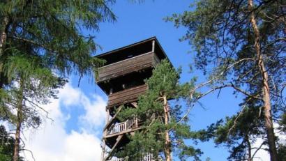 Bild: exb/Landratsamt
Der Hirschbergturm ist nicht mehr sicher. Er ist ab sofort gesperrt.