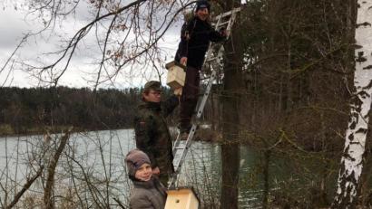 Bild: pop
Fynn Sander von der Jugendgruppe unterstützte Martin Falk und Tino Scherm beim Aufhängen der Nistkästen.