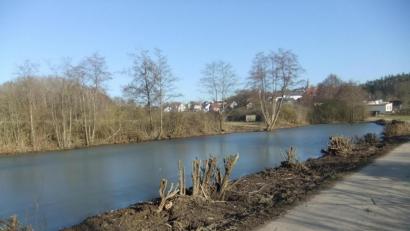 Bild: gm
Der Pittersberger Pfarrerweiher hat eine lange Geschichte, fast so lang wie die Kirche, die zwischen den Sträucherwuchs vorne hervorschaut.