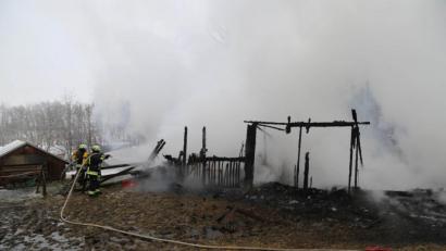 Bild: Roland Wellenhoefer
Die Feuerwehr konnte nichts mehr retten. Das Feuer zerstörte den Pferdestall komplett.