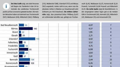 Bild: gld
Das Landratsamt Tirschenreuth veröffentlicht wöchentlich aufsummierte Zahlen der Corona-Infektionen pro Gemeinde. Der einzige tschechische Fall stammt noch aus der Datenerfassung zu Beginn der Krise. Die Zahl der positiv getesteten tschechischen Grenzpendler erscheint in dieser Statistik nicht.