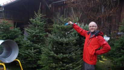 Bild: kaz
Lorenz Schön präsentiert stolz seine bayerischen Christbäume.