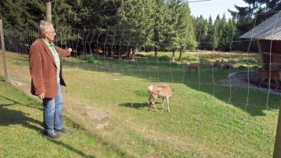 Archivbild: bsc
Naturpark-Geschäftsführer Ernst Tippmann freut sich über das große Engagement von ehrenamtlichen Helfern und Unterstützern. Ein beliebter Anlaufpunkt von Naturliebhabern und Wanderern war das Rotwildgehege. Ein Grund dafür war die erfolgreiche Umsiedelung von Hirsch Max.