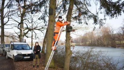 Bild: kaz
Stadtgärtner Florian Frank und Biodiversitätsberaterin Nicole Bergler bringen verschiedene Nistkästen im Kemnather Land an.