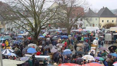 Archivbild: hm
Der traditionelle Tauben- und Geflügelmarkt in Pfreimd ist immer ein Großereignis, wie dieser Blick ins Archiv belegt. Am heutigen Aschermittwoch muss er jedoch aufgrund der Geflügelpest ausfallen.