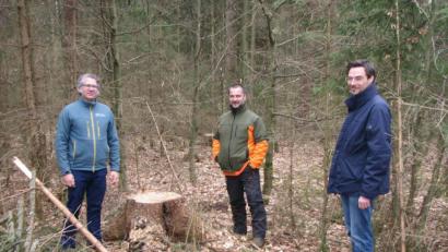 Bild: knh
Am nachwachsenden Baumbestand erklären Forstbetriebsleiter Philipp Bahnmüller (links) und Förster Erwin Fischer (Mitte) dem Landtagsabgeordneten Dr. Stephan Oetzinger (rechts), wie nach Einsatz des Harvesters der Klimawald gefördert wird.