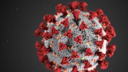 Bild: Centers for Disease Control and Prevention illustration
Das Robert-Koch-Institut meldet am Dienstag erneut einen leichten Anstieg der Corona-Fallzahlen in Amberg und im Landkreis Amberg-Sulzbach.