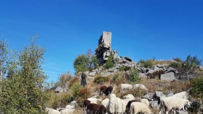 Bild: Gemeinde Flossenbürg/exb
Felssturz möglich: Der Turm der Burgruine bleibt bis vorerst zum Herbst gesperrt. Untersuchungen haben gezeigt, dass die Treppe nicht mehr sicher ist.