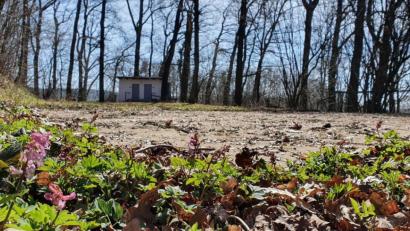 Bild: wih
Die Katholische Landjugendbewegung (KLJB) Gebenbach würde hier am Irl-Festplatz gerne mit Containern einen Ort für die jungen Leute des Dorfes schaffen. Die vorhandenen Sanitäranlagen sprechen laut Vorsitzendem Julian Bauer für diesen Standort. Bürgermeister Peter Dotzler ist anderer Meinung und verweist auf die Brandgefahr.