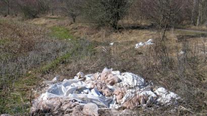 Bild: bkr
So nicht: Auch Silofolie gehört fachgerecht entsorgt. Sie einfach auf dem Feld liegenzulassen, kann für den Landwirt teuer werden.