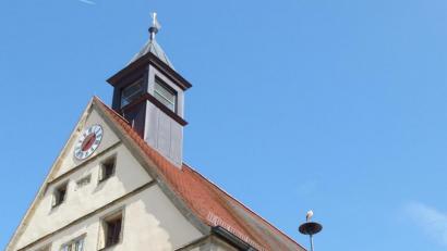 Bild: Stadt Grafenwöhr
Lange hielt es Meister Adebar erst mal nicht im Stadtpark. Hier betrachtet er die Stadt von der Sirene des Rathauses aus.