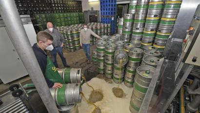 Bild: Petra Hartl
Das Bier fließt in Strömen in den Gully - und den Verantwortlichen der Gambrinus-Brauerei (Geschäftsführer Steffen Hartmann und Heiner Nachtmann, von rechts) schießen die Tränen in die Augen. Brauer Jens Rittersbacher (links) arbeitet beim Entleeren der 50-Liter-Fässer beidhändig.