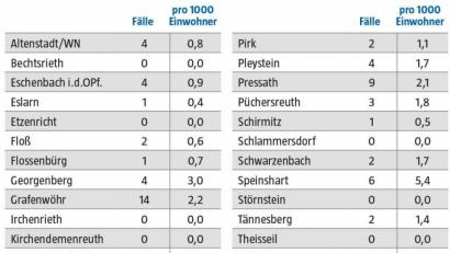 Quelle Landratsamt Neustadt/WN; Grafik: NT/AZ
Der Landkreis Neustadt verzeichnet insgesamt einen leichten Anstieg der Infizierten.