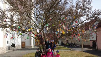 Bild: Monika Reindl/exb
Die Kinder aus der Notbetreuung des Kindergartens St. Maria haben die Magnolie vor der Stadtpfarrkirche mit den mehr als 300 gesammelten Ostereiern geschmückt.