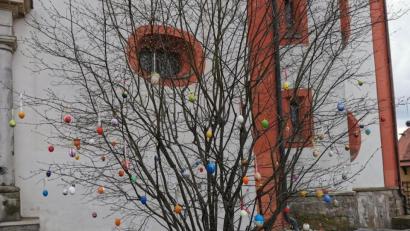 Bild: gz
Die Kinder verzierten einen Busch vor der Pfarrkirche mit zahlreichen bunten Eiern.