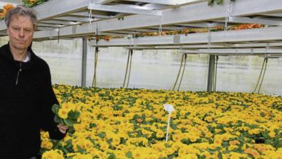 Archivbild: kro
Gartenbau-Ingenieur Hans-Joachim Schinner trifft die Rücknahme der Sonderregelungen besonders hart. Wenn er seine sechs Filialen demnächst nicht normal öffnen darf, sei das Unternehmen Schinner bald Geschichte, befürchtet er.