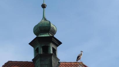 Bild: rha
Ein Storch hält kurz Rast auf dem Vilsecker Vogelturm.