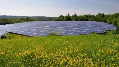 Bildmontage: Greenovative GmbH / exb
So hätte die PV-Anlage bei Etzelhof aussehen sollen. Der Stadtrat lehnte sie jedoch ab, wobei er sich gleich auf die neue Regelung zur Photovoltaik auf Freiflächen bezog.
