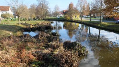 Bild: do
Verlandungen, wie dieses Bild der Creußen in Tremmersdorf zeigt, sollen mit einem ökologischen Umbau des Flusses künftig vermieden werden. Schwerpunkt des Planungsprozesses ist neben dem Gewässerumbau eine Aufwertung der Uferzonen in einen Freizeit- und Erholungsbereich.
