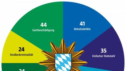 Bild: gld
Die Beamten der Polizeiinspektion Oberviechtach ermittelten im vergangenen Jahr wegen 363 Straftaten. Die Grafik zeigt die Deliktsarten mit den meisten Fällen.