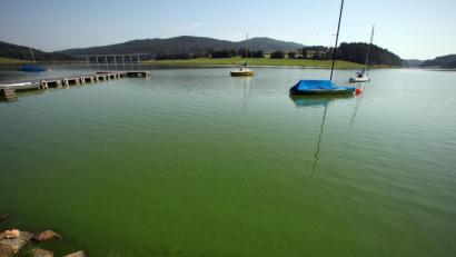 Bild: ggö
Die Idylle trügt: Bei genauem Hinsehen entpuppt sich das Wasser im Eixendorfer See wegen der grünlichen Blaualgen als wenig einladend. Jetzt nimmt der Stadtrat Kurs auf eine neue technische Methode: ein in Bautzen erprobter Blaualgen-Stopper soll her.