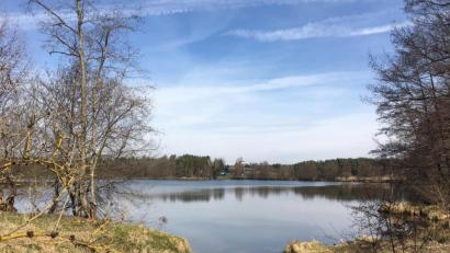 Bild: Bergler/exb
Im Weiher im Bergler-Betriebsgelände in Steinfels könnte schon bald eine Photovoltaikanlage schwimmen.