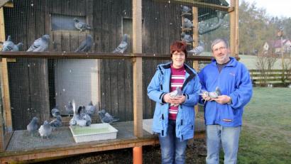 Bild: boj
Die Brieftauben der Schlaggemeinschaft Doris und Josef Leonhardt sind schon seit einiger Zeit sehr erfolgreich unterwegs. Das Züchterehepaar aus Schwarzhofen sicherte sich auch 2020 die Meisterschaft der Einsatzstelle Niedermurach.