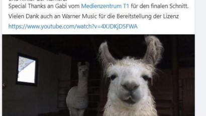 Screenshot: facebook.com/inklusiontirschenreuth
Das Netzwerk Inklusion teilte das Video zur inklusiven Jerusalema-Dance-Challenge über Facebook.