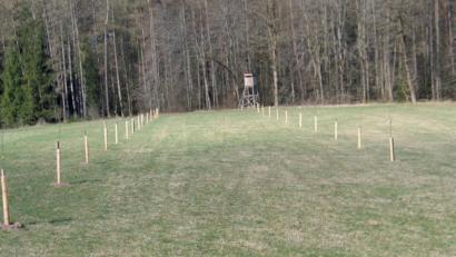 Bild: bkr
Die Früchte von 25 Apfelbäumchen sollen einmal das Wild anlocken.