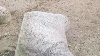 Bild: uz
Das Huhn hinter dem Alten Rathaus in Weiden liegt flach.