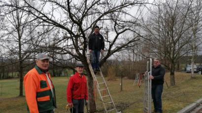 Bild: Anita Forster
Für den Obstbaumschnitt am Lehrpfad packten (von links) Ludwig Walbrun, Johann Köppl, Walter Nagler und Josef Schneeberger gemeinsam an.