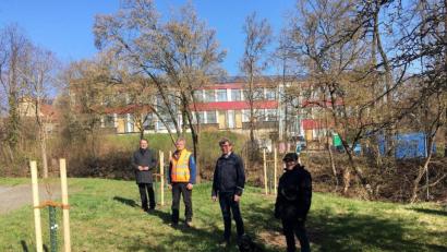 Bild: ihl
Nabburg setzt auf Obstbäume. Im Seyerleingarten wurden neue Birn- und Zwetschgenbäume gesetzt. Bürgermeister Frank Zeitler, Bauhofleiter Rudi Scharf, Kreisfader Leiter des Kreisgartenamtes Wolfgang Grosser und der ehrenamtliche Gartenpfleger Wolfgang Engel (von links) erläutern das Obstbaumkonzept.
