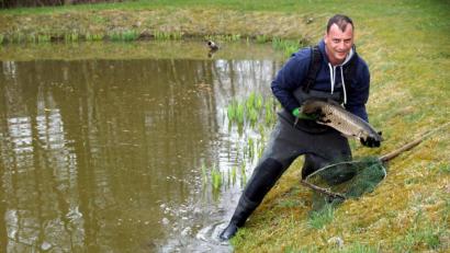 Bild: bkr
Kai Wolf setzt einen der zehn Schuppenträger in den Teich und hofft, sie im Herbst wieder entnehmen zu können.