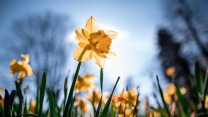 Symbolbild: Fabian Strauch/dpa
Vor allem Hobbygärtner müssen in der nächsten Woche Acht auf ihre Pflänzchen geben. Obwohl "Hoch Renate" übernimmt, bleiben die Temperaturen im April verhalten. Vor allem nachts kommt es noch zu Frost.