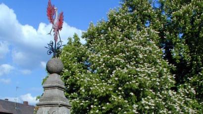 Bild: le
Das Wahrzeichen des 1073-jährigen Marktes ist der Röhrkasten mit Fratzengesicht und rotem Adler im Herzen des Marktes. Seit vielen Jahren kümmert sich die frühere Geschäftsfrau Johanna Lenkeit vom Waldverein um dessen Unterhaltung und Pflege. Sie erfüllt damit eine beispielhafte Heimatarbeit.