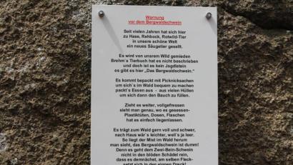 Bild: pi
Dieses Schild warnt auf dem Schellenberg vor dem "Bergwaldschwein".