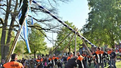 Archivbild: rgr
2019 stellten die Männer der Feuerwehr Grafenwöhr den Maibaum mit Muskelkraft und prominenter Unterstützung auf.