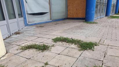 Bild:  Wieder
Taubendreck und grünes Biotop zwischen den Gehwegplatten vor dem Eingangsbereich des Josefshauses am Adolf-Kolping-Platz und damit an der verkehrsreichsten Kreuzung der Stadt Weiden. Der Grundstückseigentümer kommt seiner Pflicht, für Sauberkeit zu sorgen, ganz offensichtlich nicht mit allzu großem Engagement nach. Die Aufforderungen der Stadtverwaltung laufen bei ihm ins Leere.