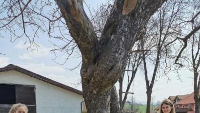 Bild: lg
Lena Hauser (links) und Irina Vetter stellen die drei Typen von Nisthilfen vor, mit denen das Schulgelände ausgestattet wurde.