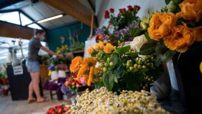 Symbolbild: Sebastian Gollnow
Gartenmärkte, Blumenhändler und Buchhandlungen dürfen ihre Türen für Kunden wieder aufsperren. Auch Zoos und botanische Gärten können unter freiem Himmel wieder - vorher getestete - Besucher empfangen.