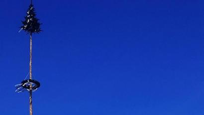 Bild: ld
Wie mit der Wasserwaage ausgerichtet steht der Maibaum heuer wieder stolz beim Rathaus.